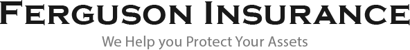 Ferguson Insurance Logo